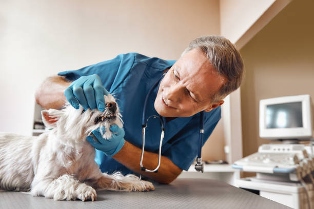Best Emergency Wisdom Teeth Removal in Fort Clark Springs, TX